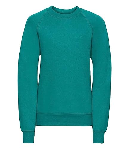 Boys Girls Unisex School Crew Neck Jumper Round Neck Fleece Sweatshirt Uniform Ages 3-16 Years