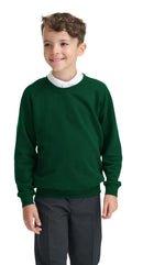 Integriti Schoolwear Boys Girls Unisex Jumper Sweatshirt Crew Neck Round Neck School Uniform Ages 1-15