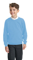 Integriti Schoolwear Boys Girls Unisex Jumper Sweatshirt Crew Neck Round Neck School Uniform Ages 1-15
